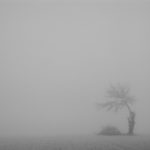 Pascoli. La voce alla poesia: Nebbia. nebbia.jpg