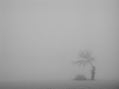 nebbia.jpg