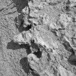 Le cose che non sono. Sconfitta