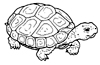 tartaruga-desenhos-para-colorir-9.jpg