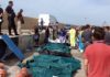 Nouvelle tragédie de l’immigration à Lampedusa: une conséquence de la guerre en Libye. Des corps de migrants repêchés au large de Lampedusa, en Italie, le 03/10/13 (pool/CHINE NOUVELLE/SIPA)