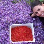 La table des Abruzzes: on dirait le Sud… Safran de Navelli