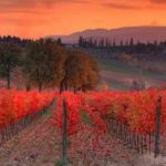 La Credenza aperta e Ubriachi d’Autunno, del poeta irpino Gabriele De Masi