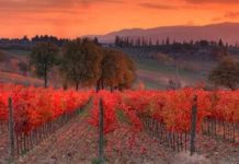 La Credenza aperta e Ubriachi d’Autunno, del poeta irpino Gabriele De Masi