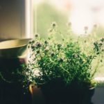 « Solo se non piove ». #iostoacasa L'arte di stare in casa