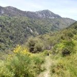 Storie di frontiera tra Francia e Italia: Monet e la migrante, due solitudini in natura foto di Filippo Lombardo