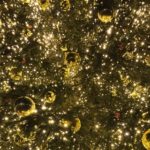 E sta per raccominzari la gran camurria delle feste…