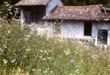 Souvenirs du Friul. Sequals.