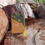 ‘Non tutti gli alberi’, un romanzo di Gianmarco Parodi ambientato tra la Liguria e la vallée de la Roya