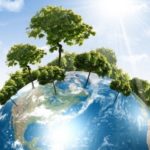 Green Economy, macrosistema e territorio