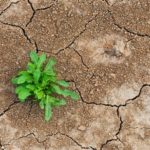 L’inconscio e la politica. La necessità di un terzo polo per il ritorno all’agenda Draghi.