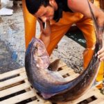 Un’estate italiana. Favola e foto di Rosella Centanni: ‘Il pescatore e la bella ricciola’ pescatore e ricciola