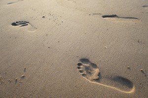 piedi Laura de Luca