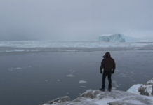 L’arte e la natura. Di Stefano Cagol la mostra ‘We are the flood’