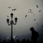 Stupeur. Hitchcock et ses oiseaux à Venise – Une vidéo de Philippe Apatie