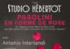 Au Studio Hébertot : Pasolini en forme de rose, d’Antonio Interlandi spectacle Interlandi Pasolini